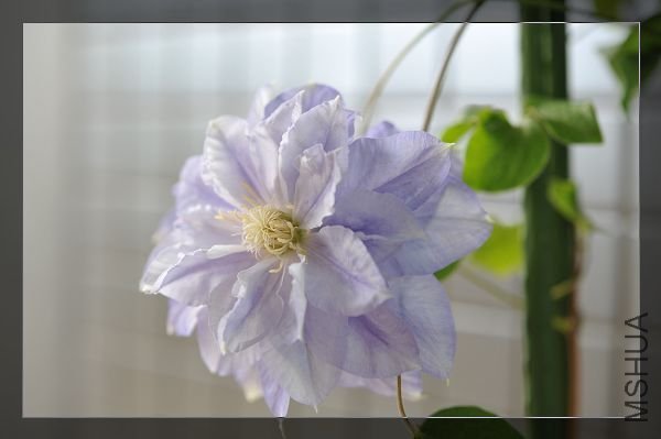 090329������ (2).JPG