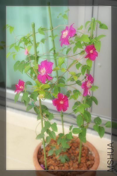 090329�������� (5).JPG