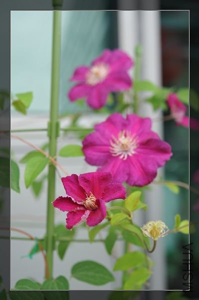 090329�������� (4).JPG