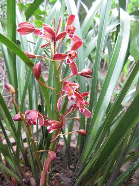 2009֮����Ϫӣ��԰ 003.jpg