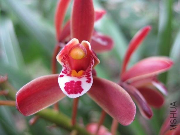 2009֮����Ϫӣ��԰ 007.jpg