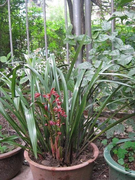 2009֮����Ϫӣ��԰ 002.jpg