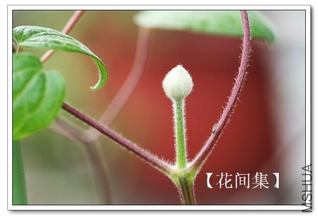 IMG_3043 ����.jpg