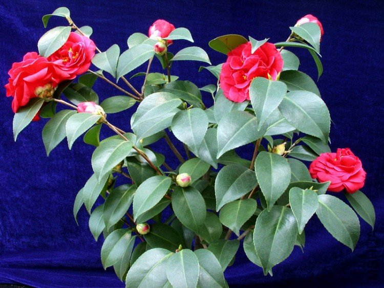 DSCN3564.JPG