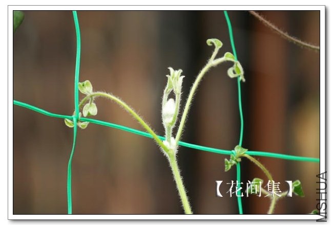 IMG_3077 ����.jpg