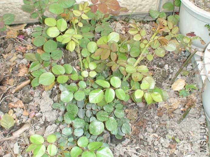090326-842.jpg