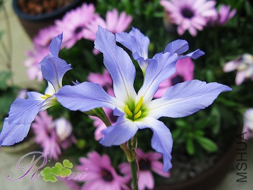 ����ٺ�-�� 7.jpg