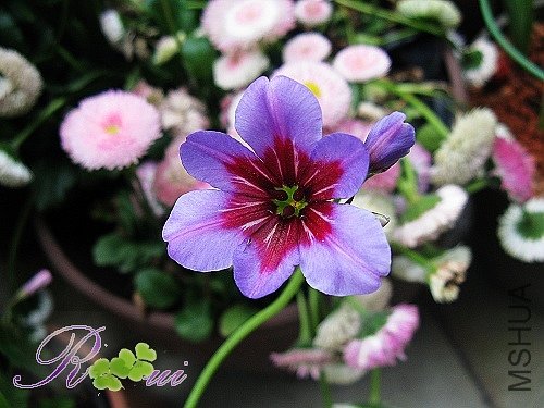 ����ٺ�-�� 2.jpg