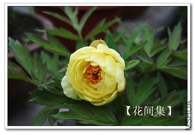 IMG_3360 ����.jpg