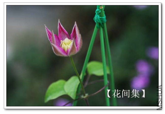 IMG_3406 ����.jpg