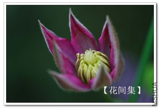 IMG_3409 ����.jpg