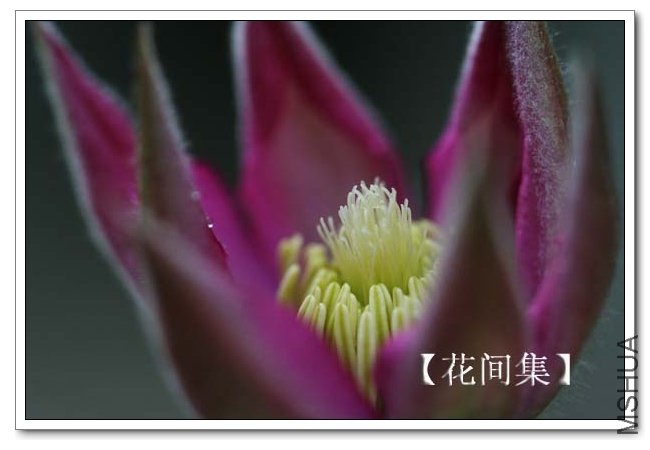 IMG_3419 ����.jpg