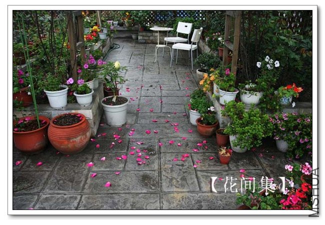 IMG_3429 ����.jpg