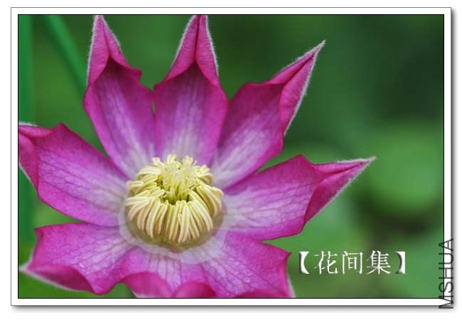 IMG_3458 ����.jpg