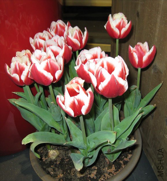 IMG_1615.JPG