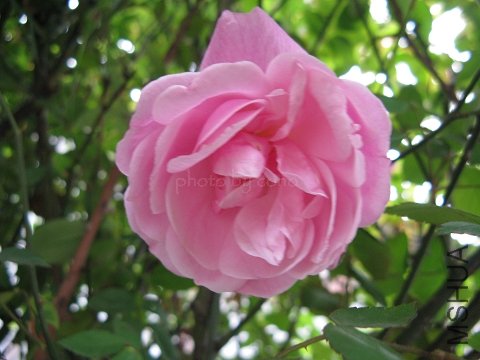 nEO_IMG_IMG_0746.jpg