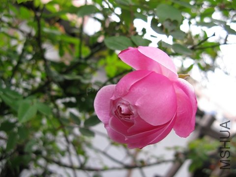 nEO_IMG_IMG_0748.jpg