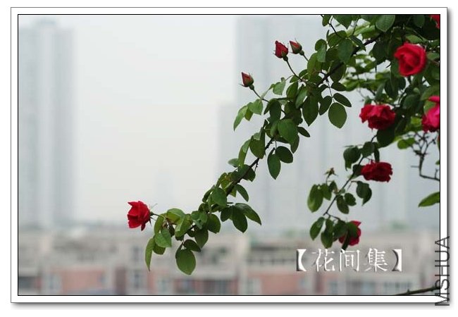 IMG_3465 ����.jpg