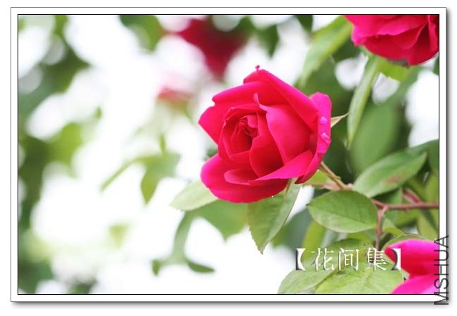 IMG_3472 ����.jpg