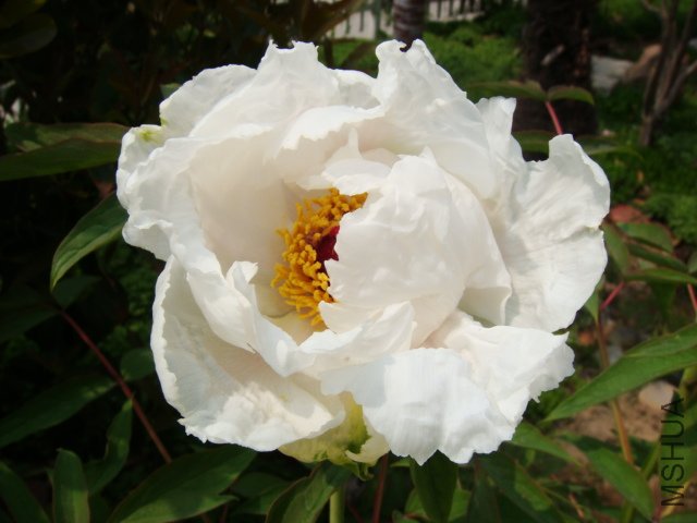 DSC05019.JPG