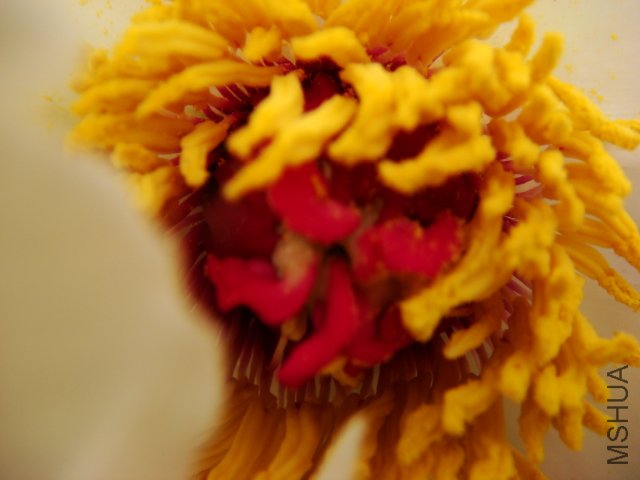 DSC05029.JPG