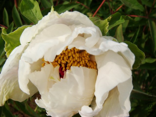 DSC05023.JPG