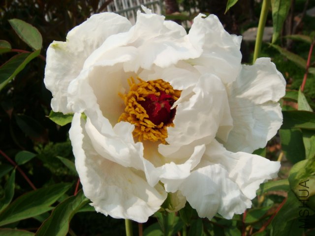 DSC05022.JPG