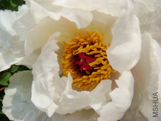 DSC05030.JPG