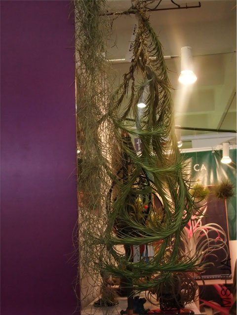 DSCF0007.JPG