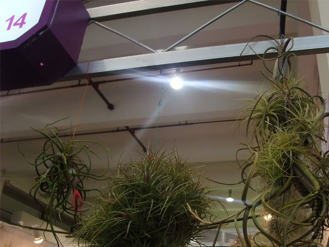 DSCF0005.JPG