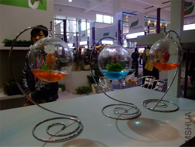 DSCF0010.JPG
