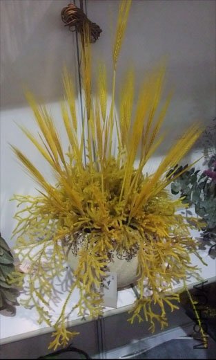 DSCF0019.JPG