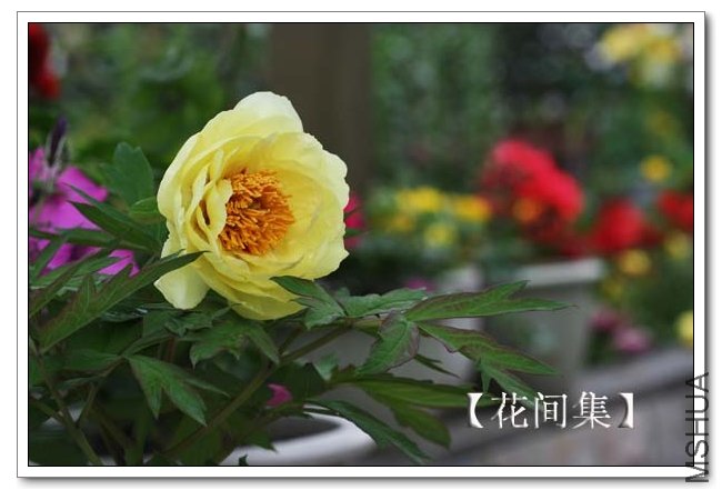 IMG_3474 ����.jpg