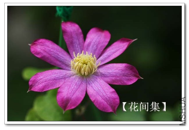 IMG_3495 ����.jpg