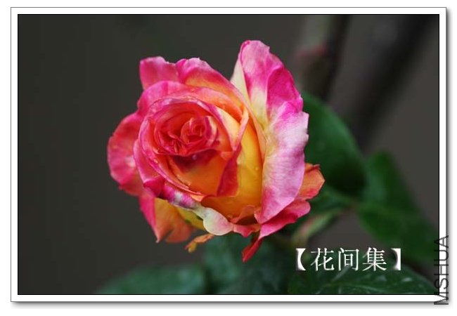 IMG_3482 ����.jpg