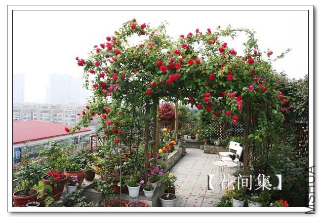 IMG_3508 ����.jpg