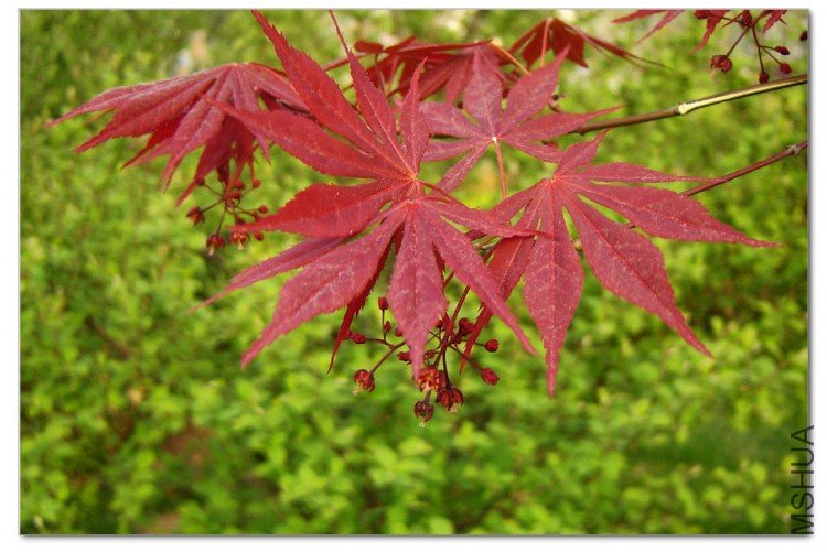 DSC07683-.jpg