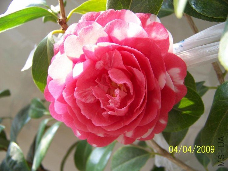 100_1314.JPG