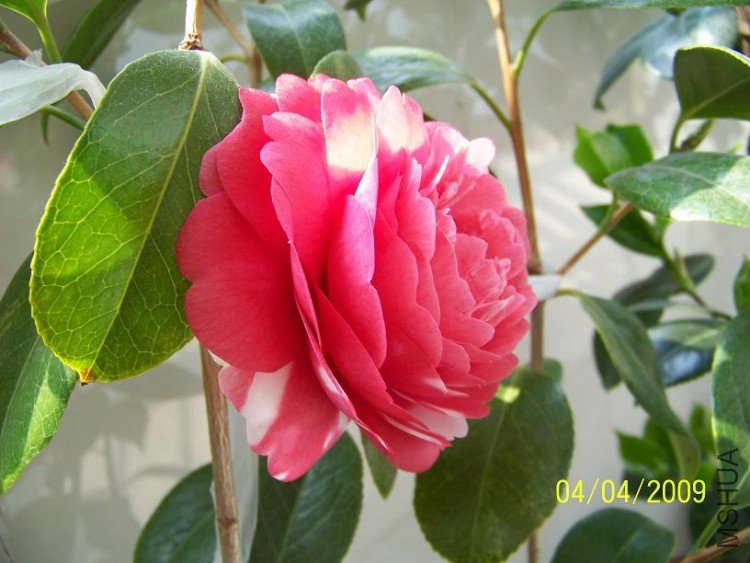 100_1311.JPG