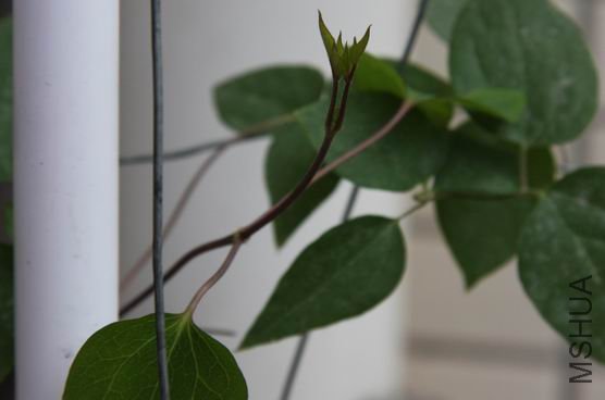 ������С ��Ƭ 211a.jpg