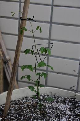 ������С ��ת ��Ƭ 221.jpg