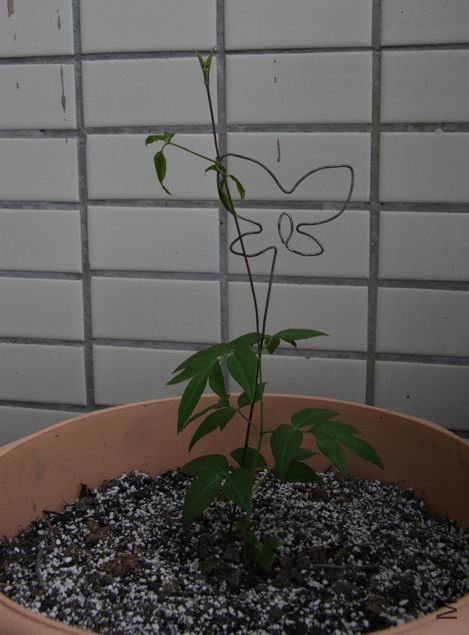 ������С ��ת ��Ƭ 219a.jpg