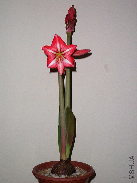 ��Ƭ 2230(576).jpg