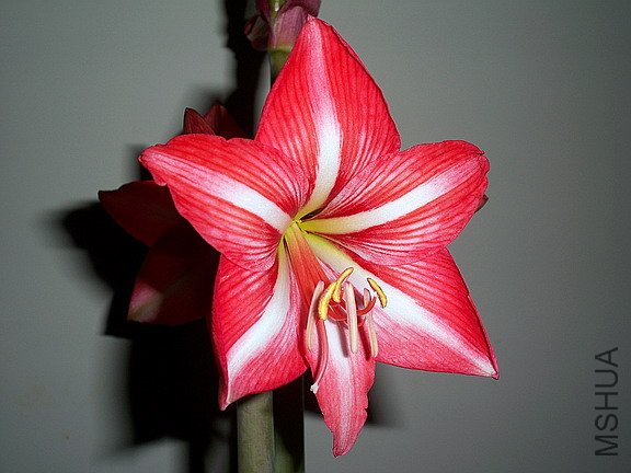 ��Ƭ 2223(576).jpg