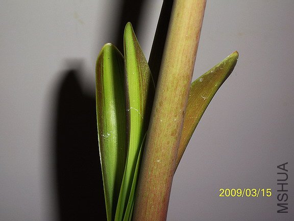 ��Ƭ 2217(576).jpg