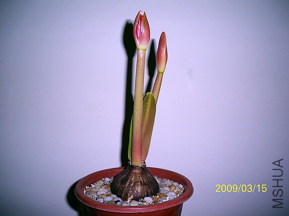 ��Ƭ 2212(576).jpg