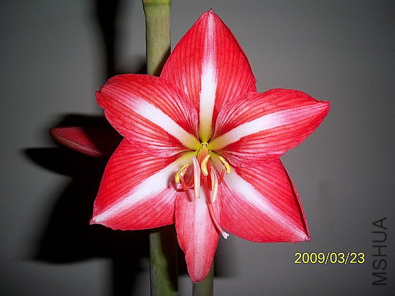 ��Ƭ 2236(576).jpg