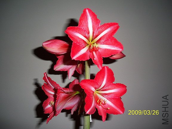 ��Ƭ 2241(576).jpg