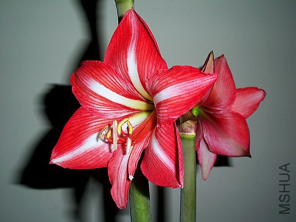 ��Ƭ 2227(576).jpg