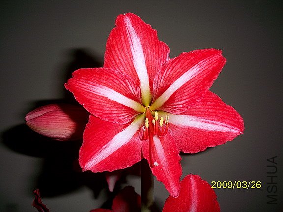 ��Ƭ 2244(576).jpg